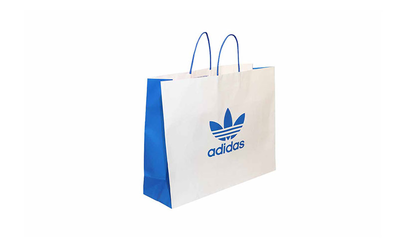 Recyclable Paper Bags